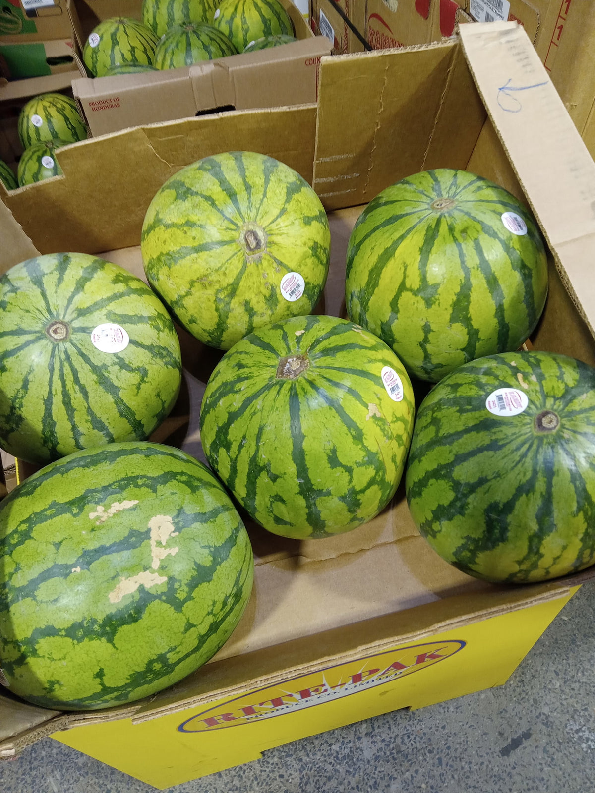Watermelon