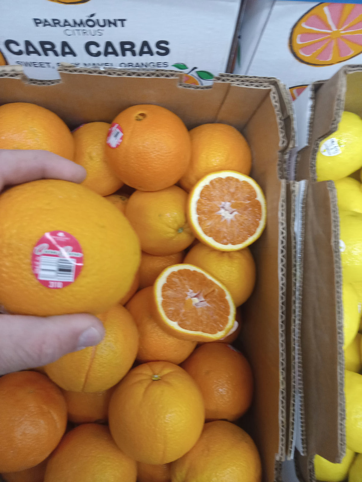 Oranges