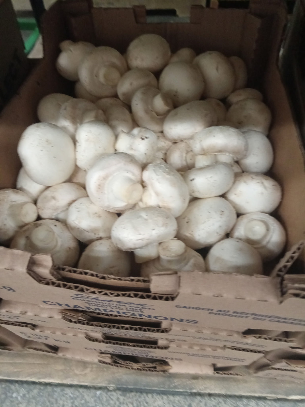 White Mushrooms