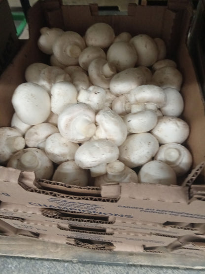 White Mushrooms