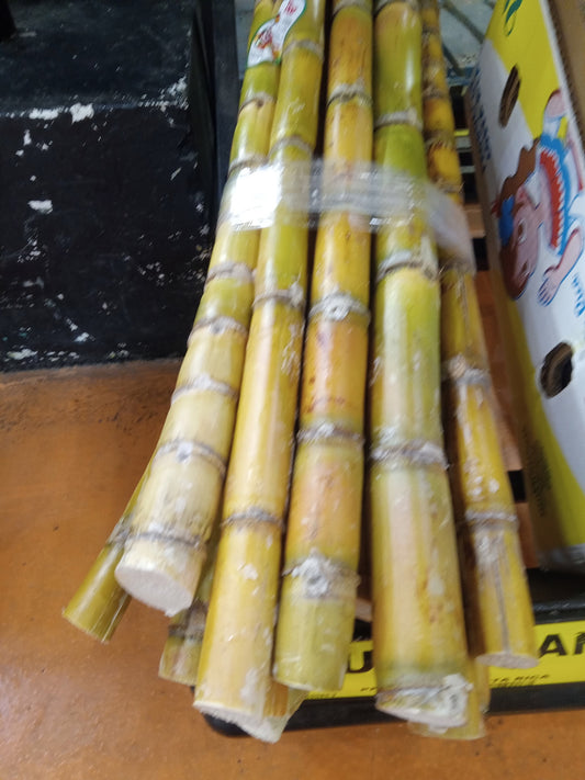 Fresh Sugarcane Stalks