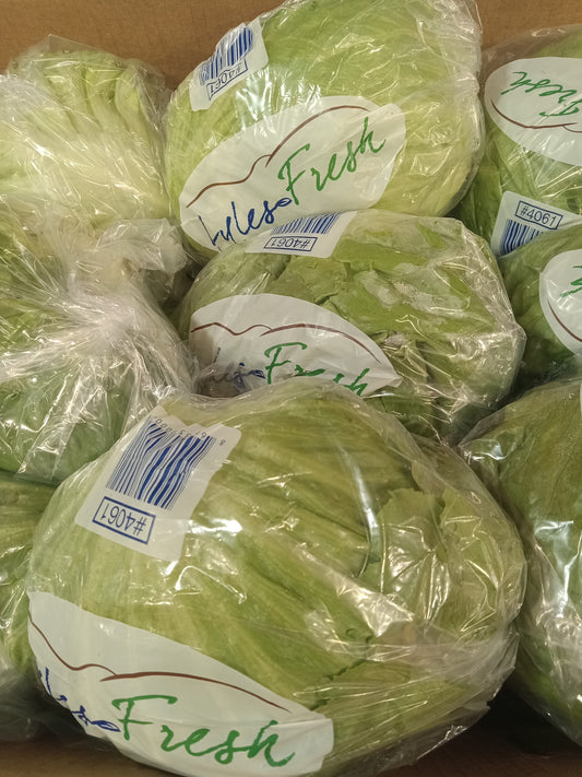 Fresh Lettuce