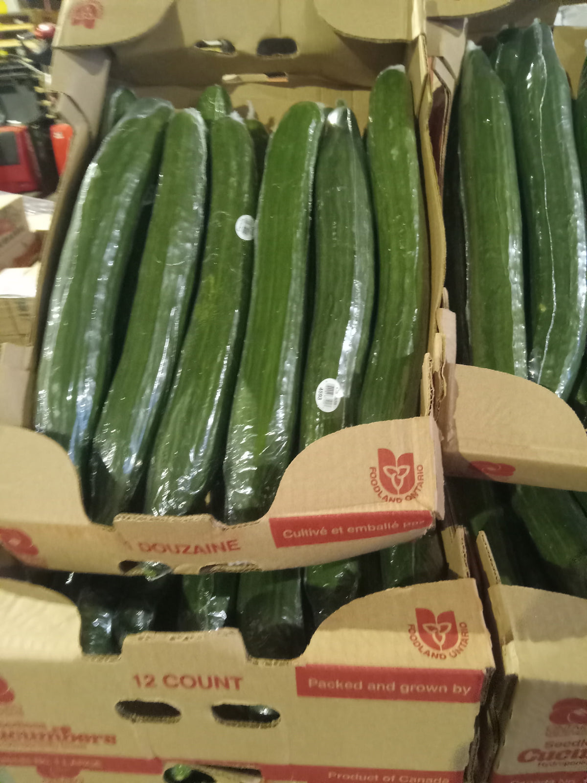 Cucumbers