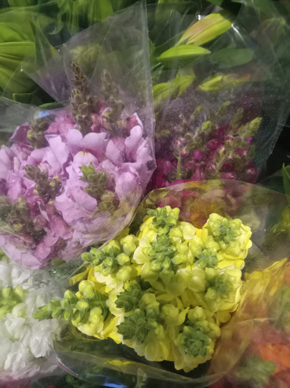 Assorted Flowers