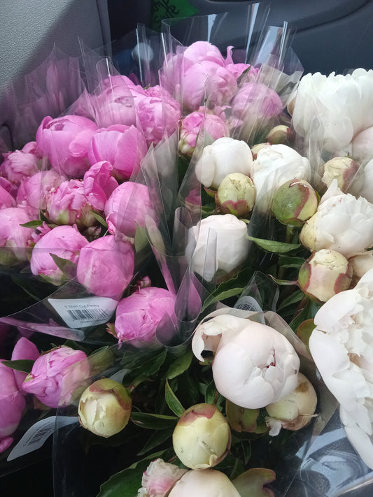 Assorted Flowers