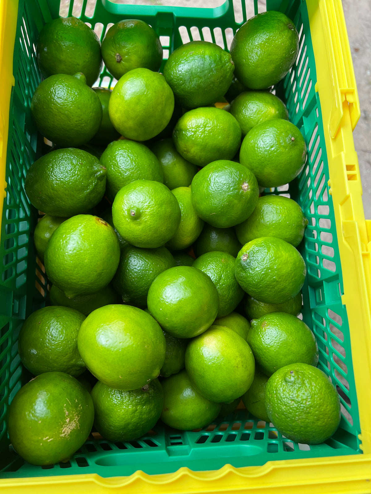Fresh Limes