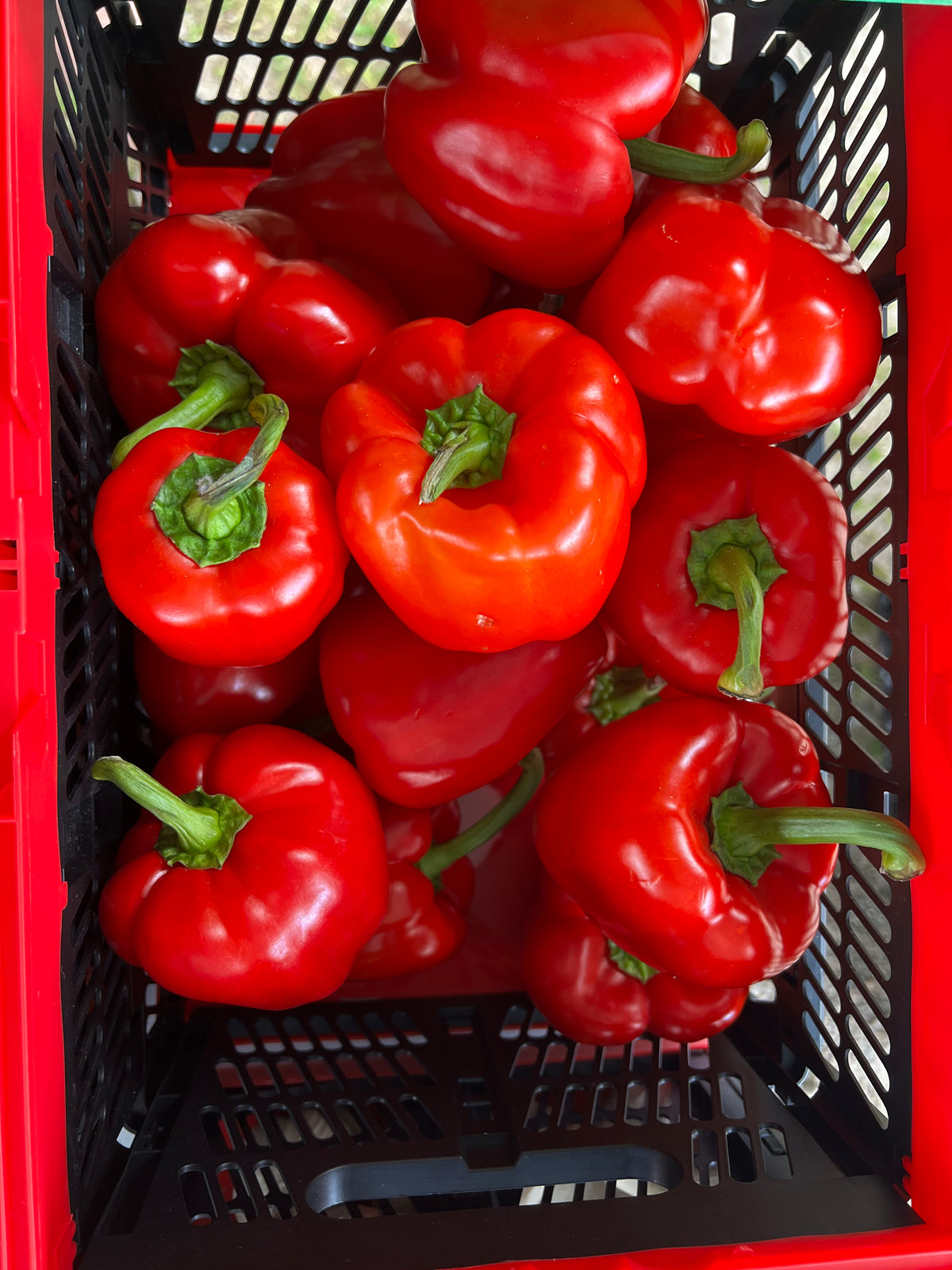 Red Bell Peppers