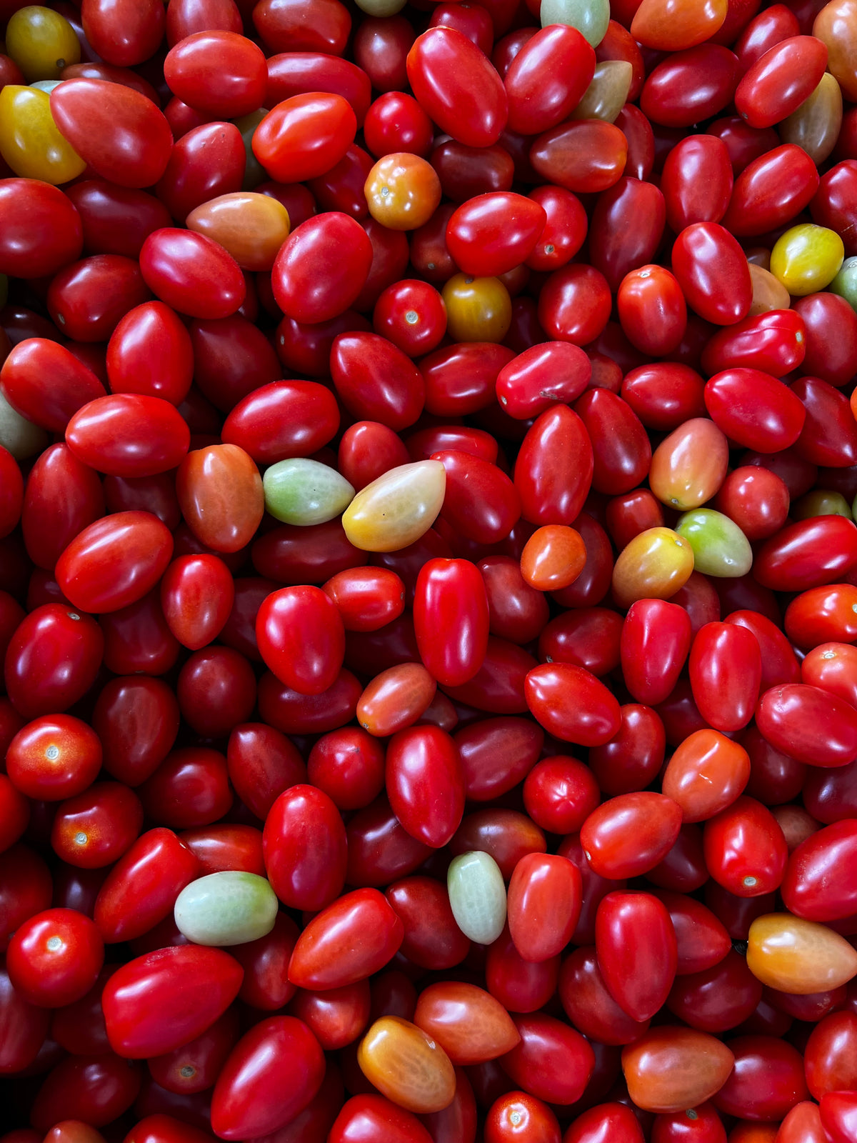 Grape Tomatoes