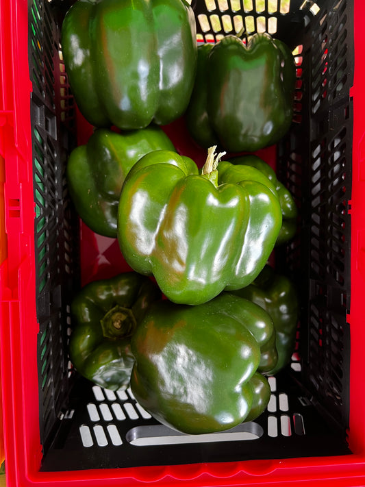 Green Bell Peppers