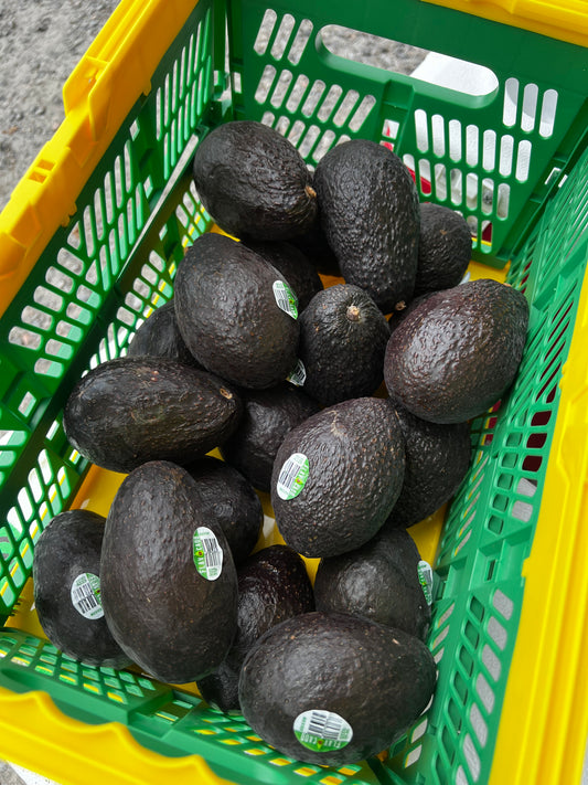 Avacado