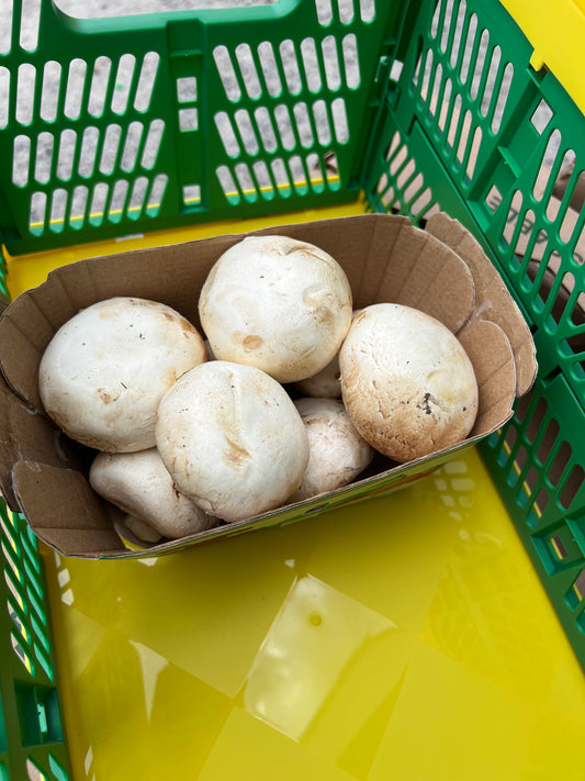 White Mushrooms