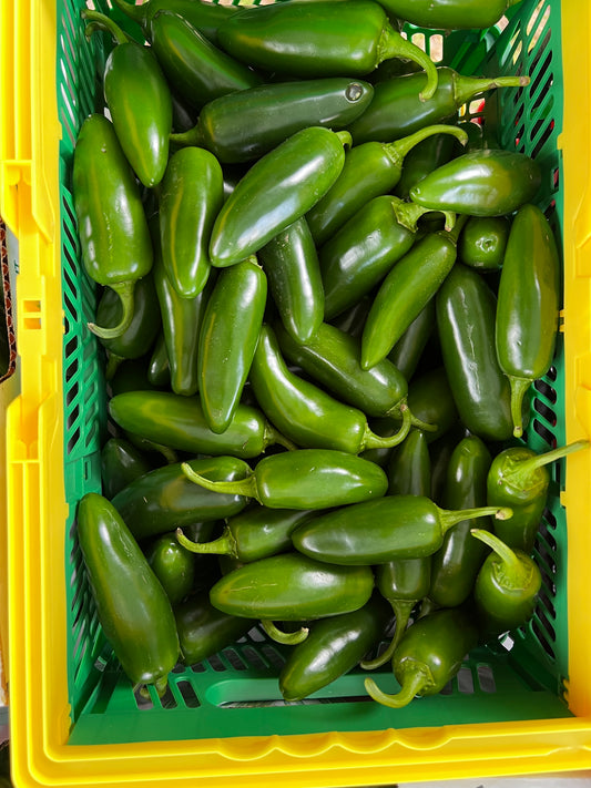 Jalapeño Peppers